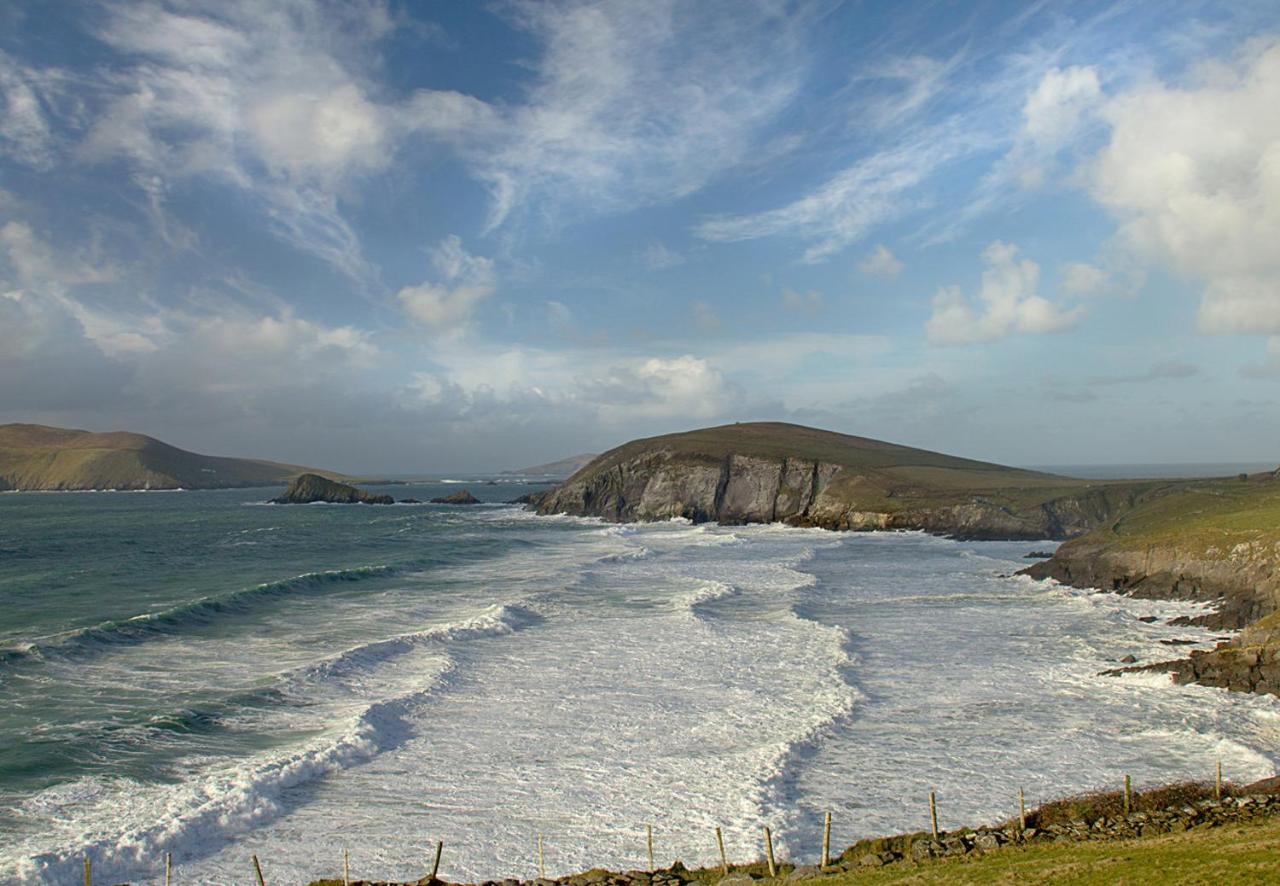 Dingle Harbour Cottages 3 Bed Sleeps 7 By Trident Holiday Homes Exteriör bild